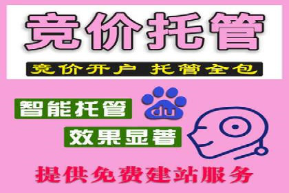成功案例：SEM竞价代运营助力企业突破瓶颈